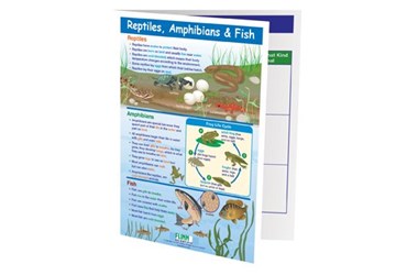 Reptiles, Amphibians and Fish—NewPath Visual Learning Guide