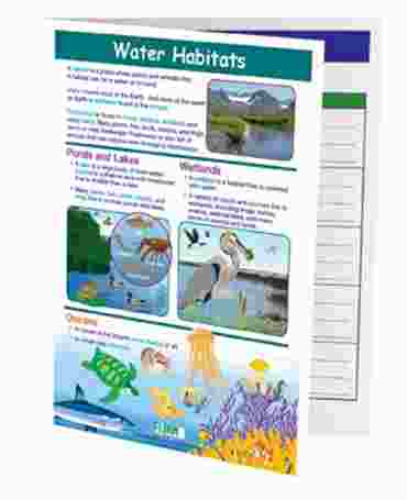 Water Habitats—NewPath Visual Learning Guide