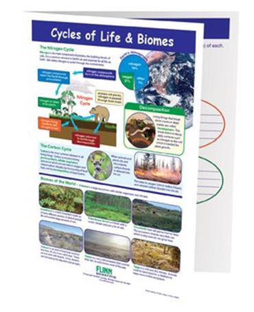Cycles of Life & Biomes—NewPath Visual Learning Guide