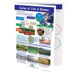 Cycles of Life & Biomes—NewPath Visual Learning Guide