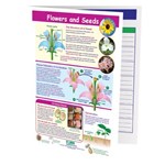Flowers & Seeds—NewPath Visual Learning Guide