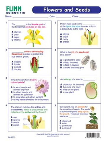 Flowers Seeds NewPath Visual Learning Guide Set of 10 Flinn Scientific