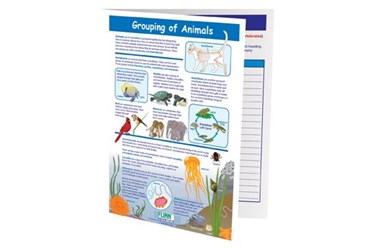 Grouping of Animals—NewPath Visual Learning Guide