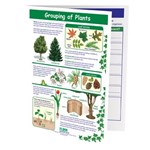 Grouping of Plants—NewPath Visual Learning Guide