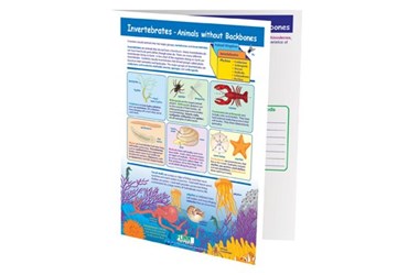 Invertebrates—Animals Without Backbones—NewPath Visual Learning Guide