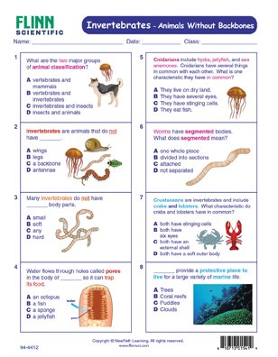 Invertebrates Animals Without Backbones Newpath Visual Learning Guide Flinn Scientific
