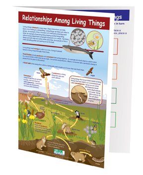 Relationships Among Living Things—NewPath Visual Learning Guide