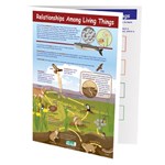 Relationships Among Living Things—NewPath Visual Learning Guide