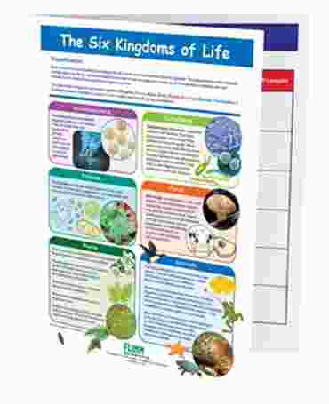The 6 Kingdoms of Life—NewPath Visual Learning Guide