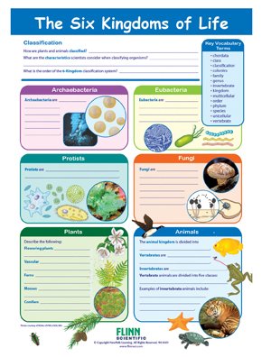 NewPath Learning 14-6729 The Six Kingdoms Learning Guide NewPath Learning 14-6729 The Six Kingdoms Learning Guide