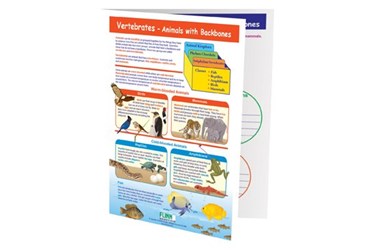 Vertebrates—Animals With Backbones—NewPath Visual Learning Guide
