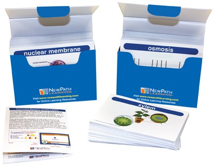 Life Science Vocabulary Builder Flash Card Set