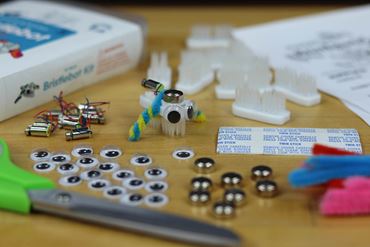 Browndog Gadgets Bristlebot 10 Pack