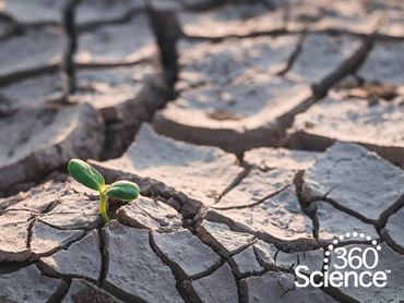 360Storylines - Droughts, 1-Year Access