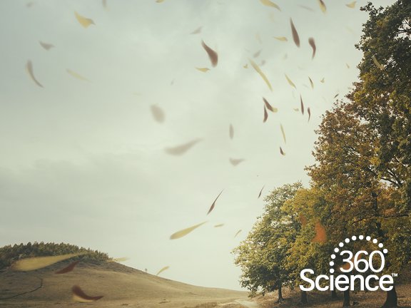 360Storylines - Wind, 1-Year Access