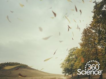 360Storylines - Wind, 1-Year Access