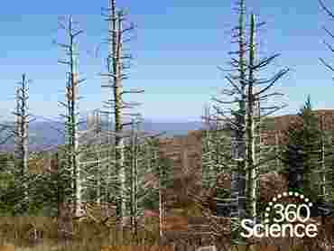 360Storylines - Acid Rain, 1-Year Access