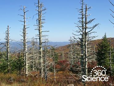 360Storylines - Acid Rain, 1-Year Access