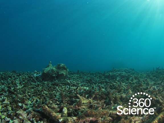360Storylines - Ocean Acidity, 1-Year Access