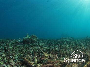 360Storylines - Ocean Acidity, 1-Year Access