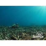 360Storylines - Ocean Acidity, 1-Year Access