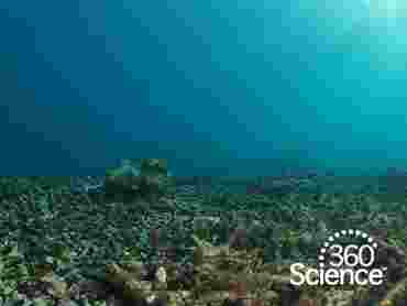 360Storylines - Ocean Acidity, 1-Year Access