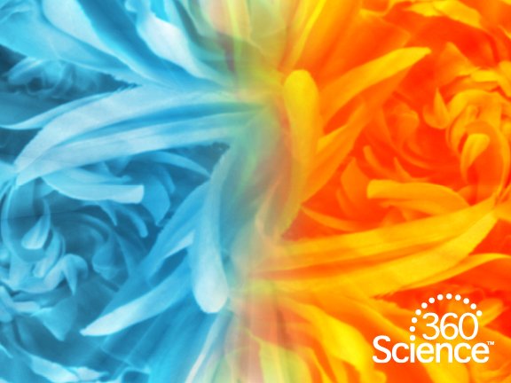 360Storylines - Hot and Cold Processes, 1-Year Access