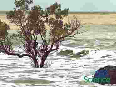 360Storylines - Rising Sea Levels, 1-Year Access
