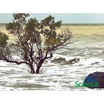 360Storylines - Rising Sea Levels, 1-Year Access