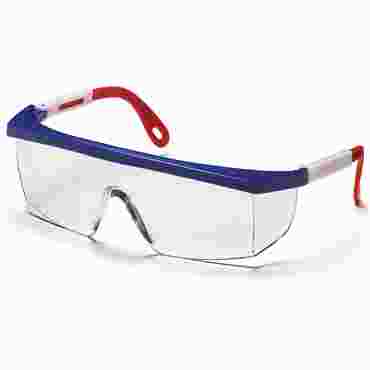 Safety Glasses for Biology and Physical Science Lab, Black