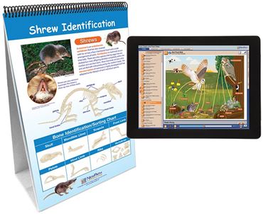 Owl and Owl Pellet—NewPath Learning Flip Chart Set