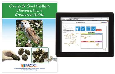 Owl Pellet Dissection Resource Guide with Online Multimedia Lesson