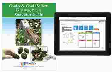 Owl Pellet Dissection Resource Guide with Online Multimedia Lesson
