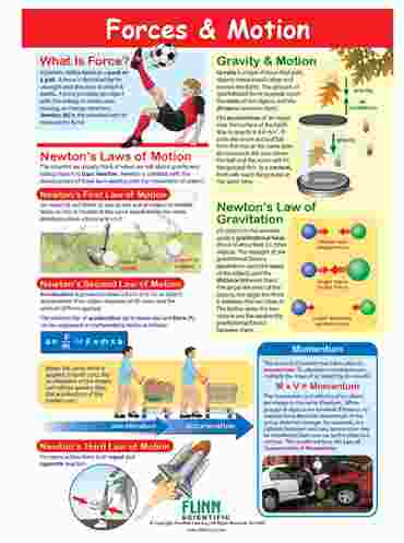 Forces & Motion—NewPath Visual Learning Guide