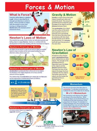 Forces & Motion—NewPath Visual Learning Guide