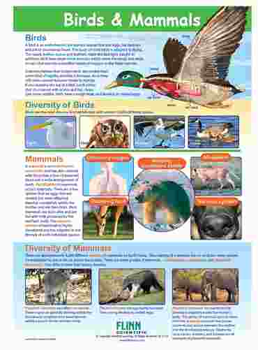 Mammals & Birds—NewPath Visual Learning Guide