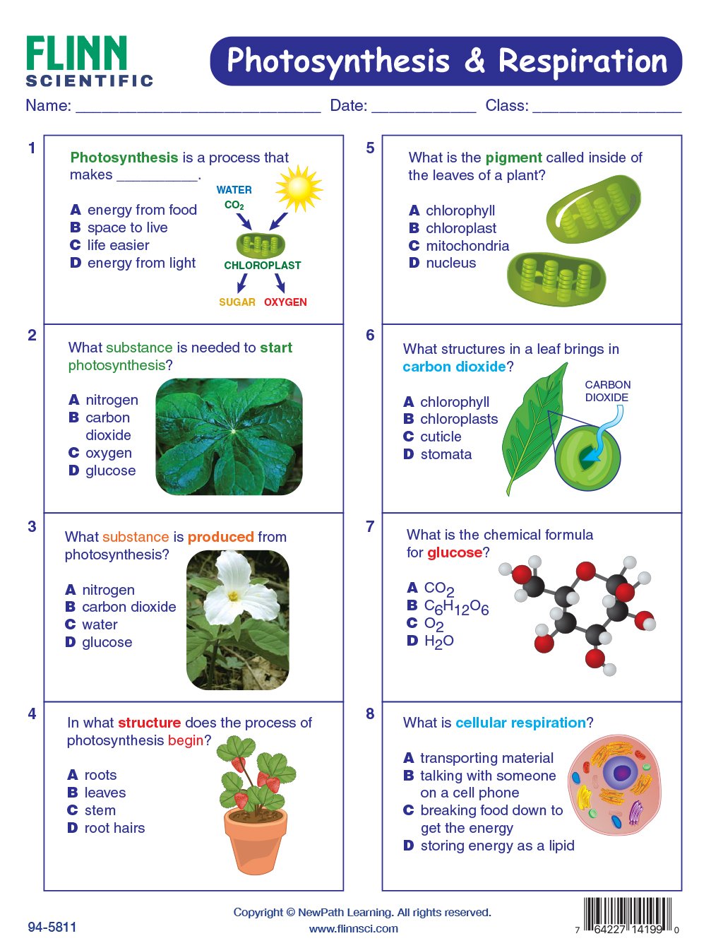 Photosynthesis & Respiration—NewPath Visual Learning Guide