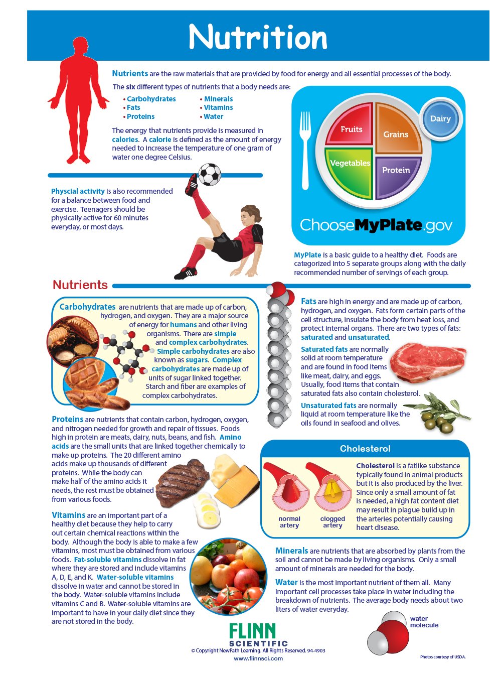 Nutrition—NewPath Visual Learning Guide