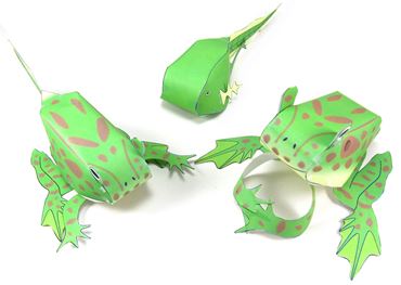 Frog Life Cycle- NewPath Science 3-D Model Kit