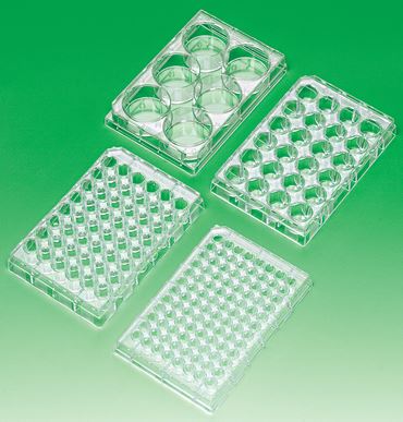 Reaction Plate 24 Wells