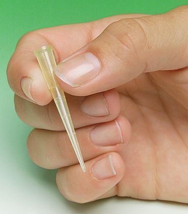Eppendorf Pipet Tip