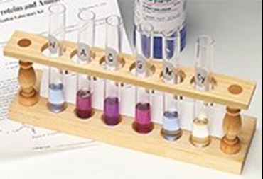 Identifying Proteins and Amino Acids Biochemistry Laboratory Kit