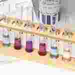 Identifying Proteins and Amino Acids Biochemistry Laboratory Kit