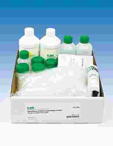 arginine, tyrosine, cysteine