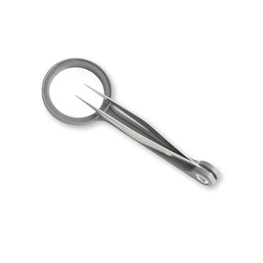 magnifier, magnify, magnifying