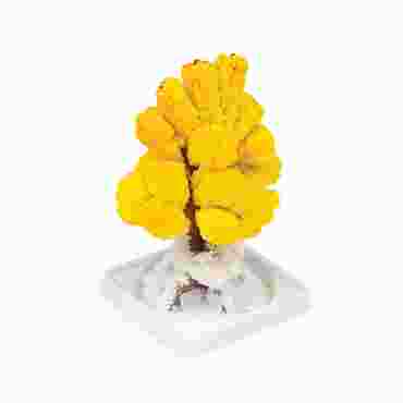 Magic® Tree Crystal Growing Science Kit