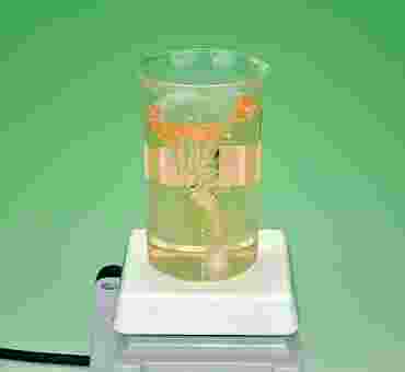 Now You See It—Now You Don’t Oscillating Chemical Reaction Demonstration Kit