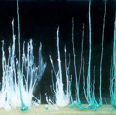 The Colorful Silicate Garden Crystal Formation Chemical Demonstration Kit