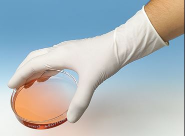 PPE and Lab Safety Latex Gloves, Small