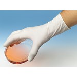 PPE and Lab Safety Powder-Free Latex Gloves, Small